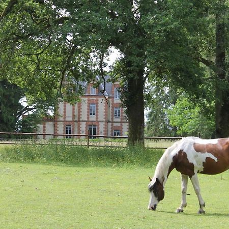 Chateau De Beauchene Chambres D'Hotes アロニー エクステリア 写真